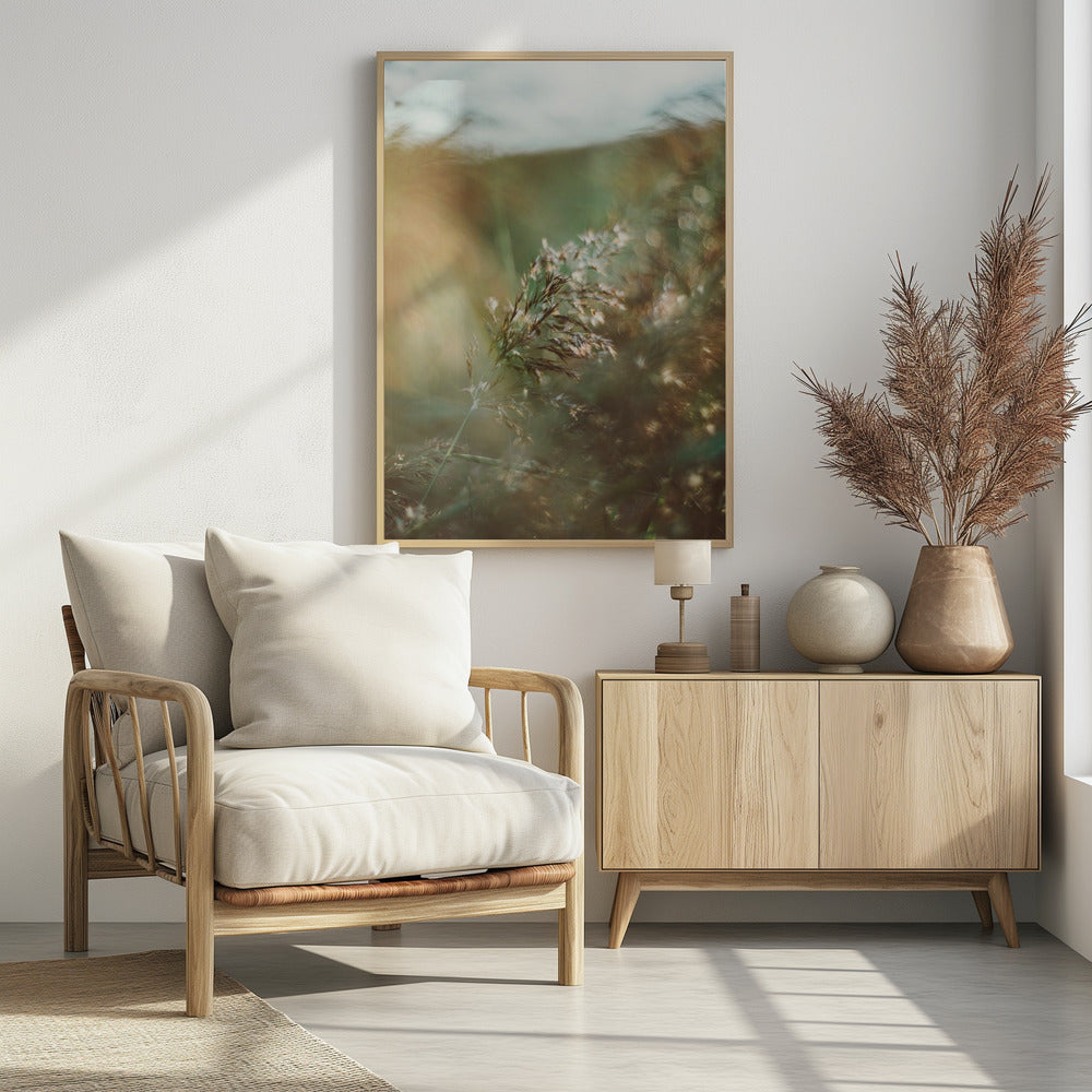 Plakat - Morning Grass Filelds 14 - Admen.dk