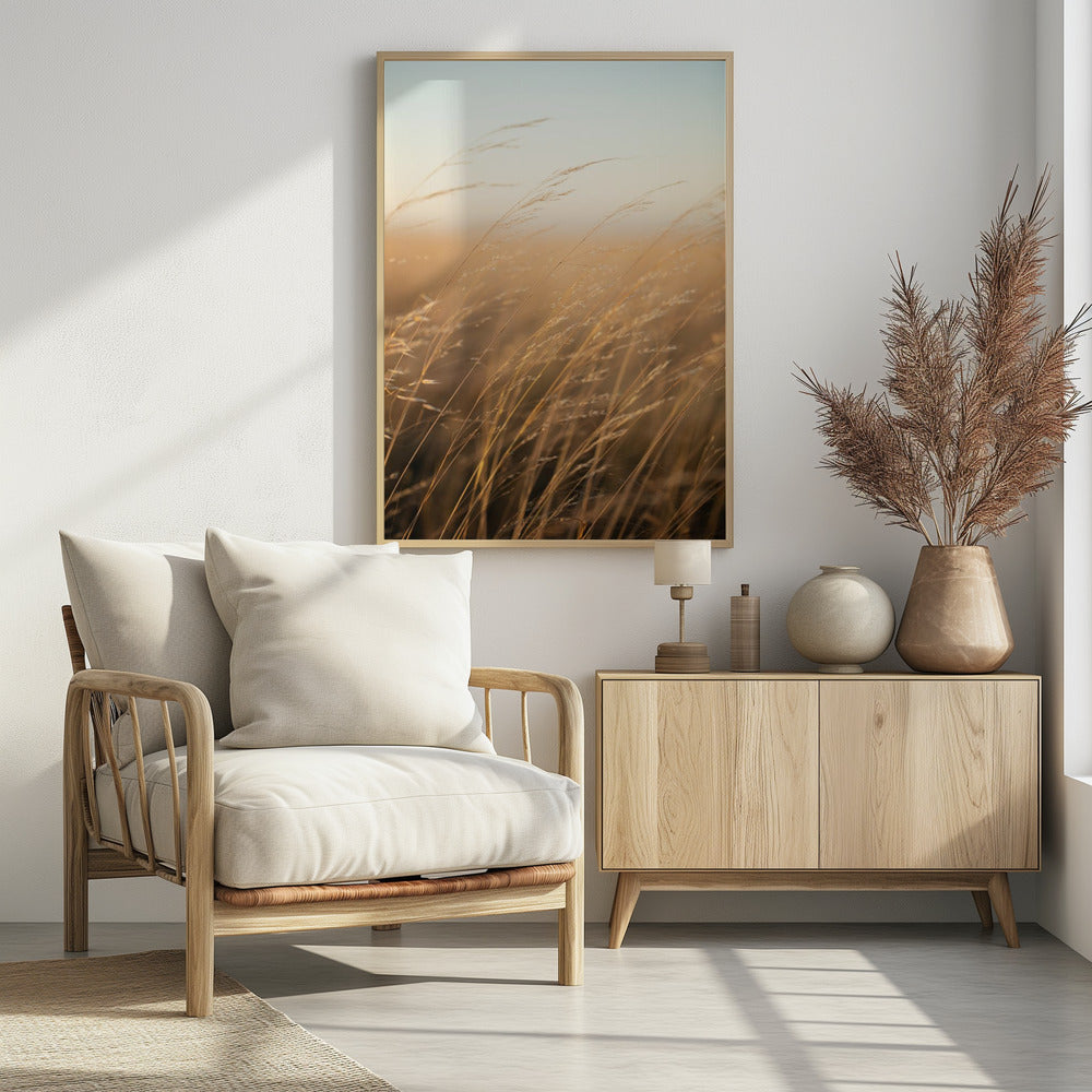 Plakat - Morning Grass Filelds 17