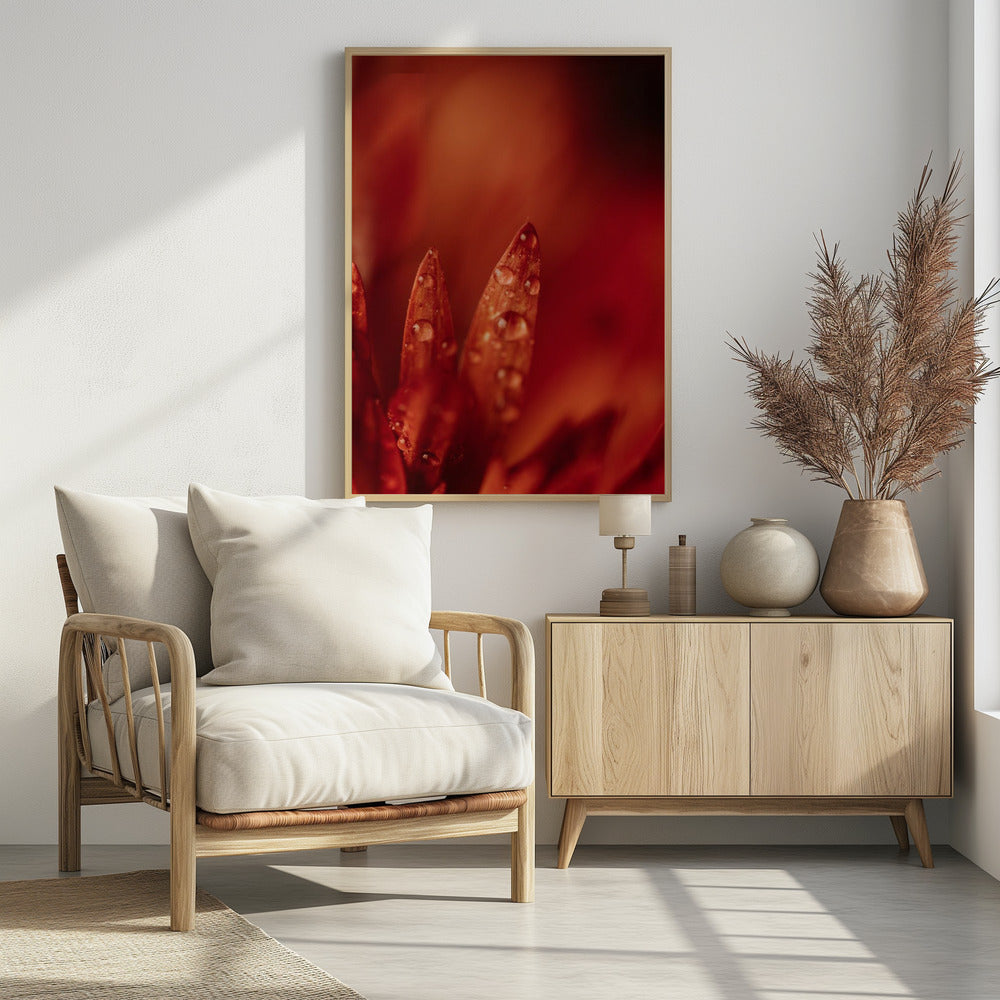 Plakat - Red Flowers 13