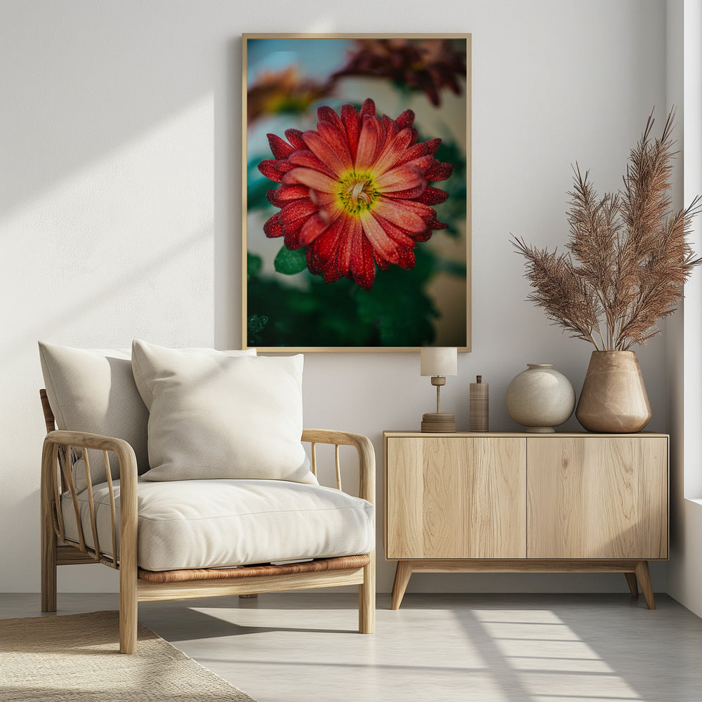 Plakat - Red Flowers 32