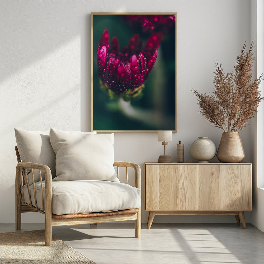 Plakat - Red Flowers 37