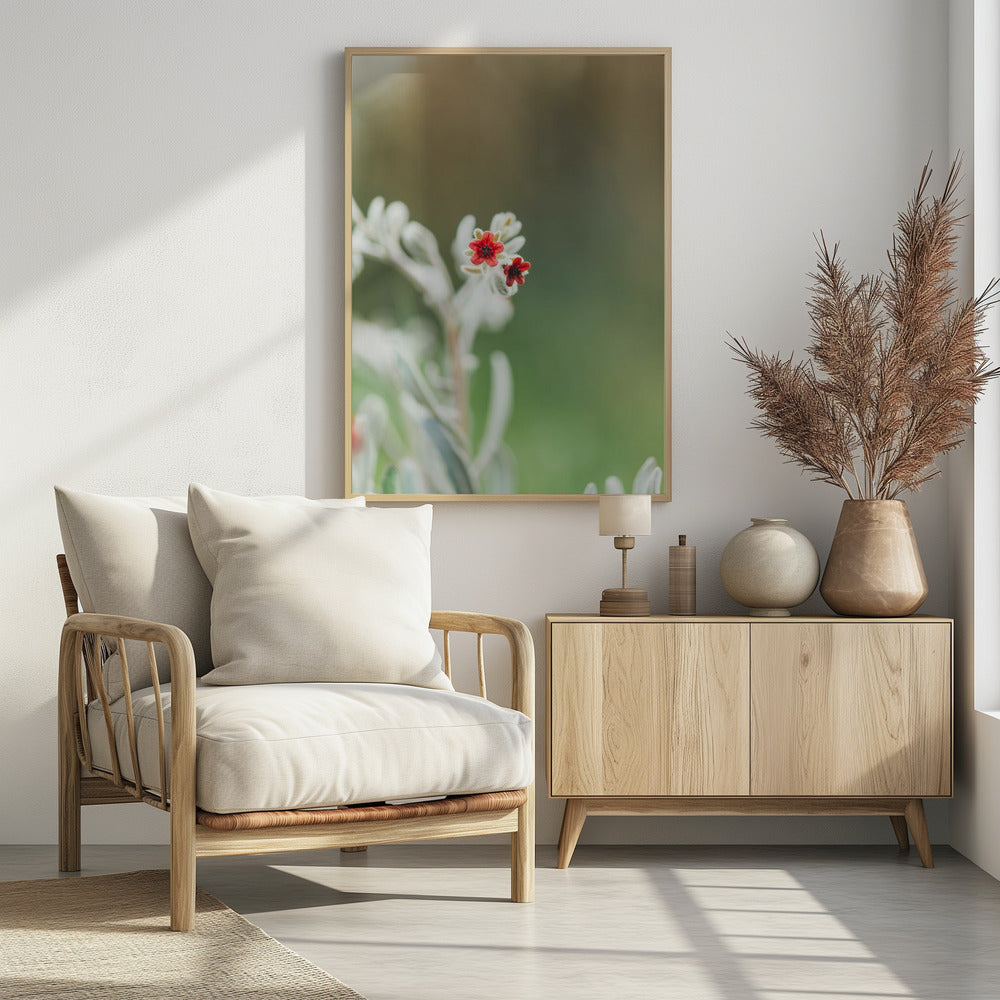 Plakat - Red Flowers 50