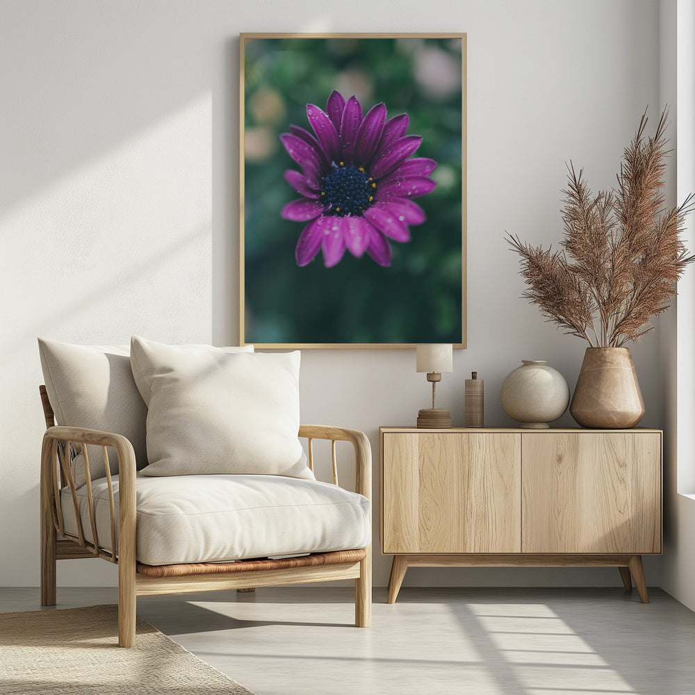Plakat - Purple Flowers 07 - Admen.dk