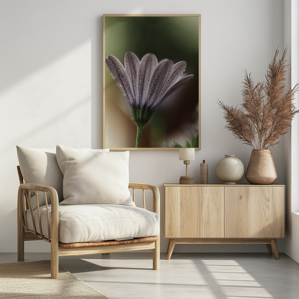 Plakat - Purple Flowers 16