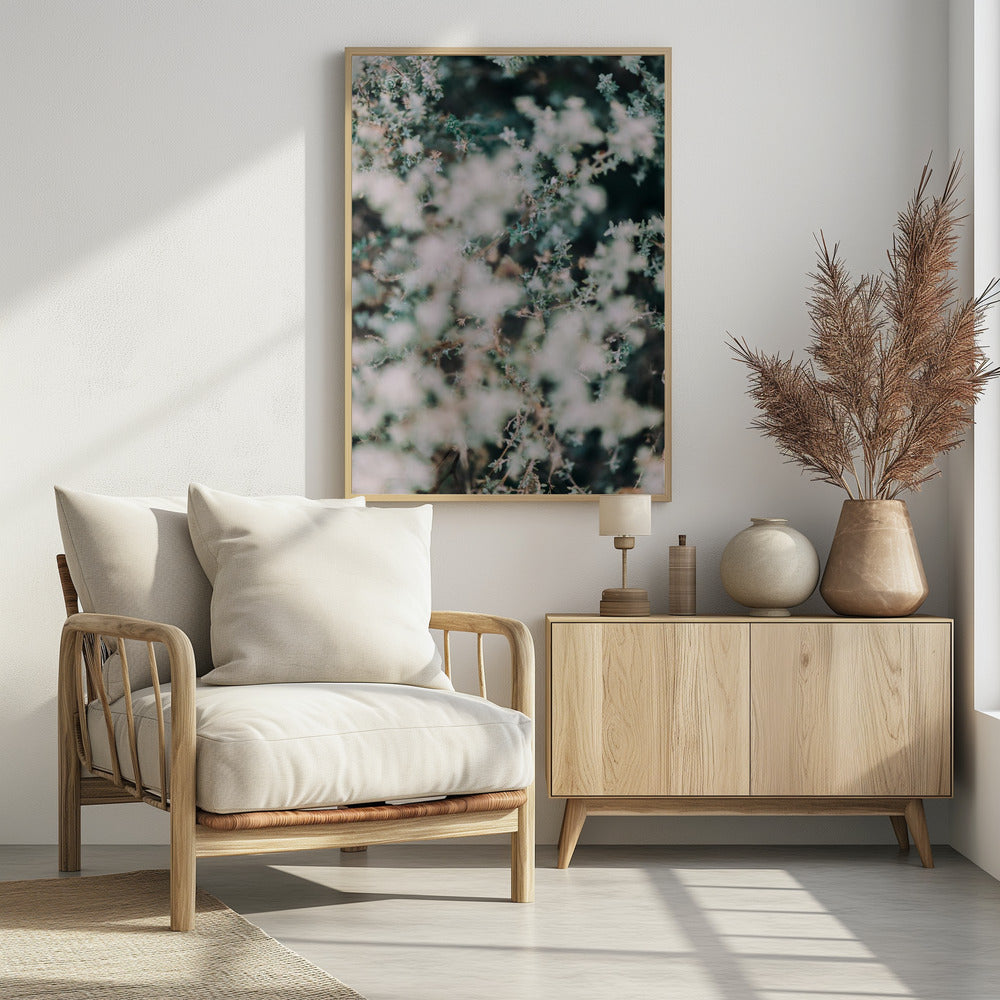 Plakat - White Flowers 13