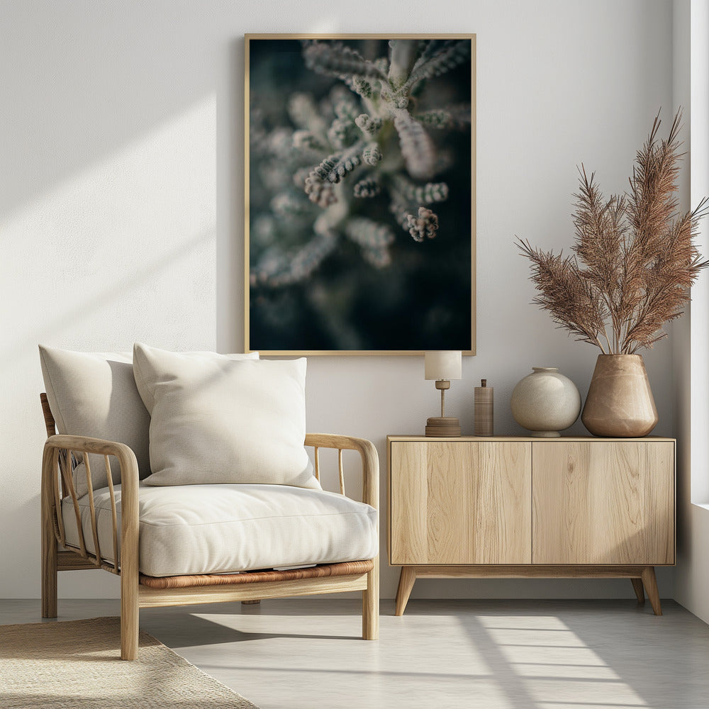 Plakat - White Flowers 14 - Admen.dk