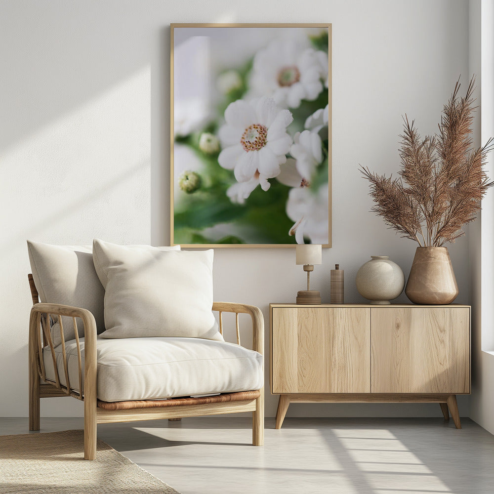 Plakat - White Flowers 15 - Admen.dk