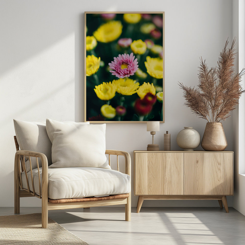 Plakat - Summer Flowers 4 - Admen.dk
