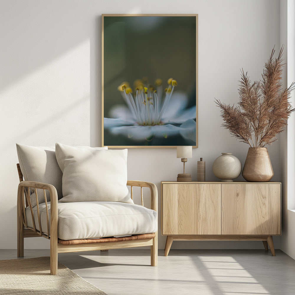 Plakat - Summer Flowers 12 - Admen.dk