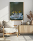 Plakat - Summer Flowers 12 - Admen.dk