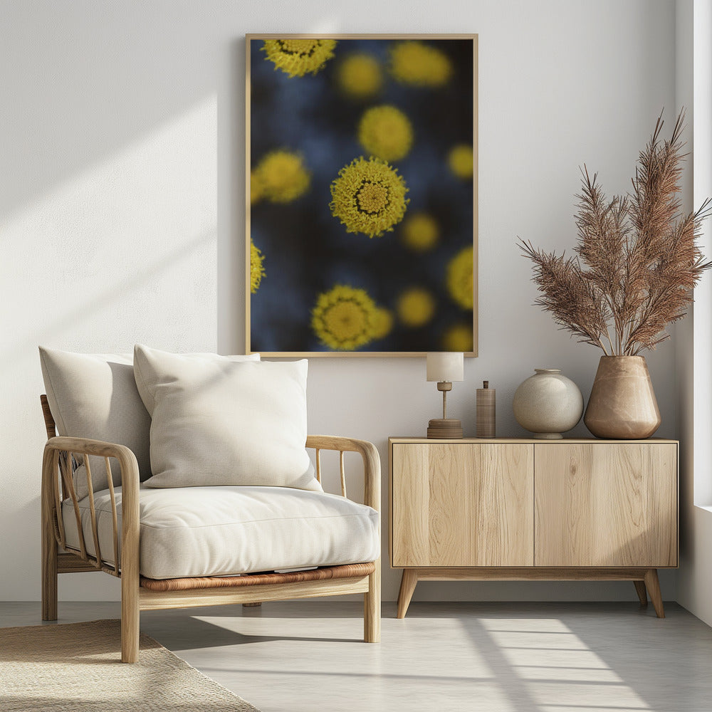 Plakat - Summer Flowers 24