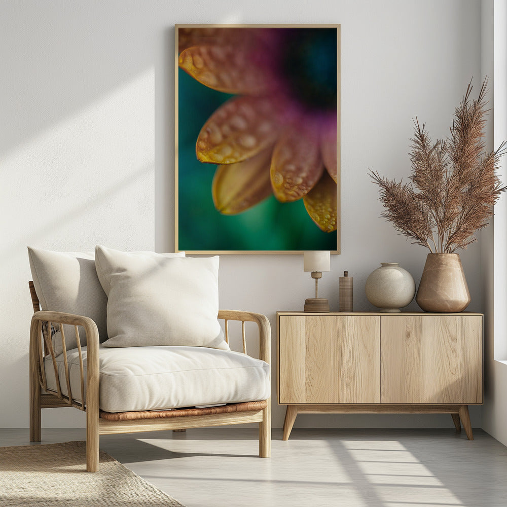 Plakat - Summer Flowers 32