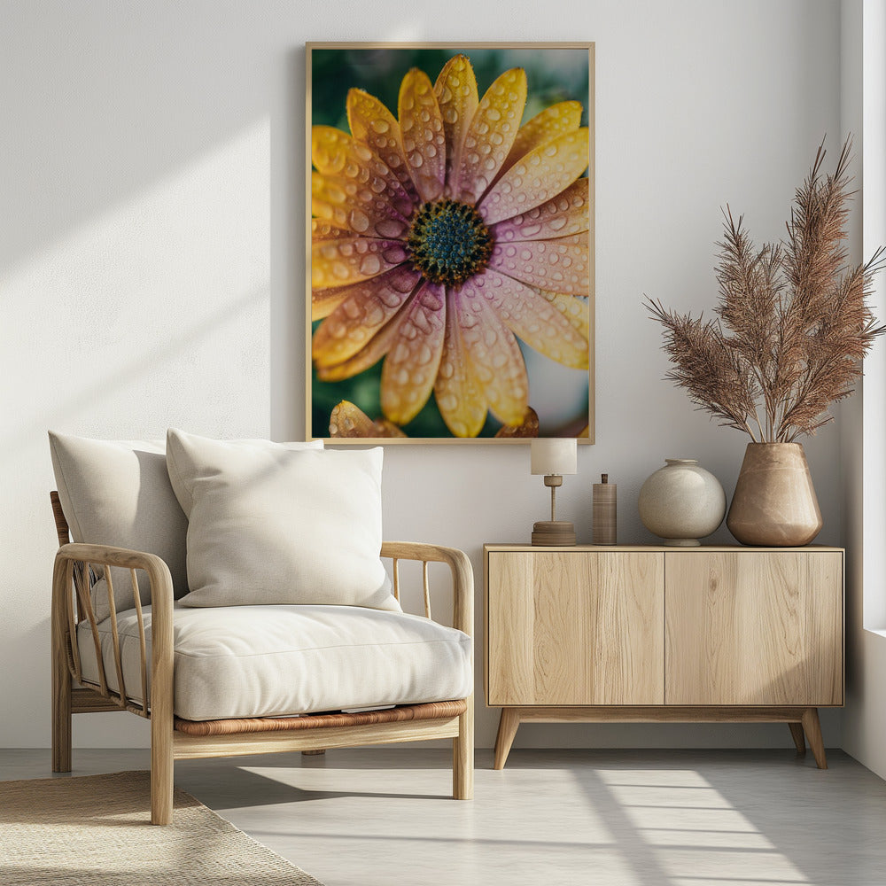 Plakat - Summer Flowers 34