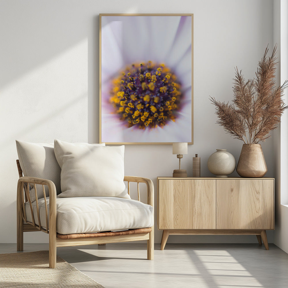Plakat - Summer Flowers 37 - Admen.dk