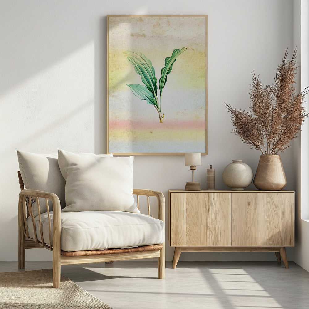 Plakat - Plants 31