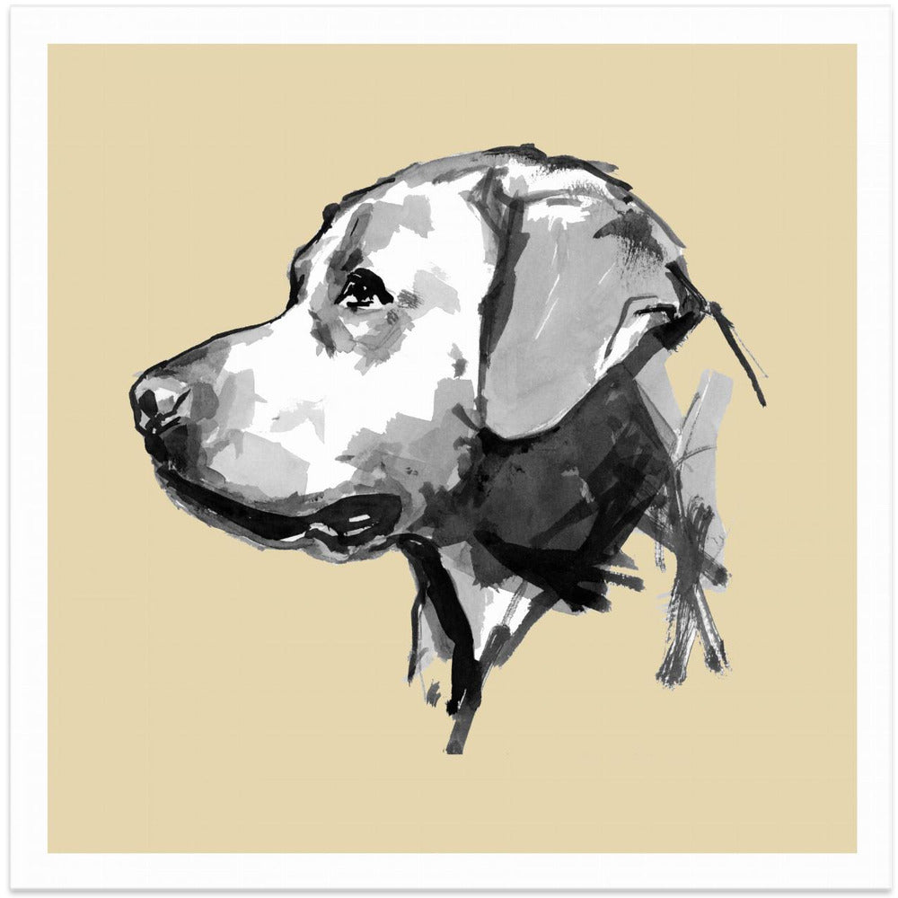 Akustik - A Very Modern Dog No5