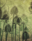 Plakat - Wild Teasel