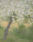 Plakat - In the garden