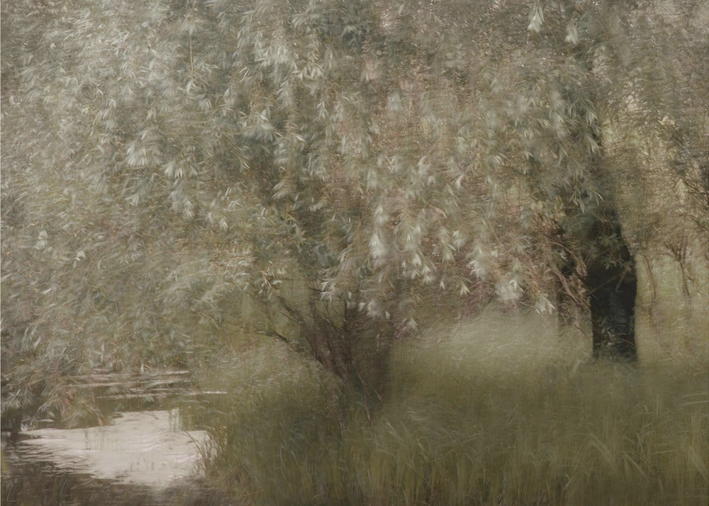 Plakat - At the riverbank