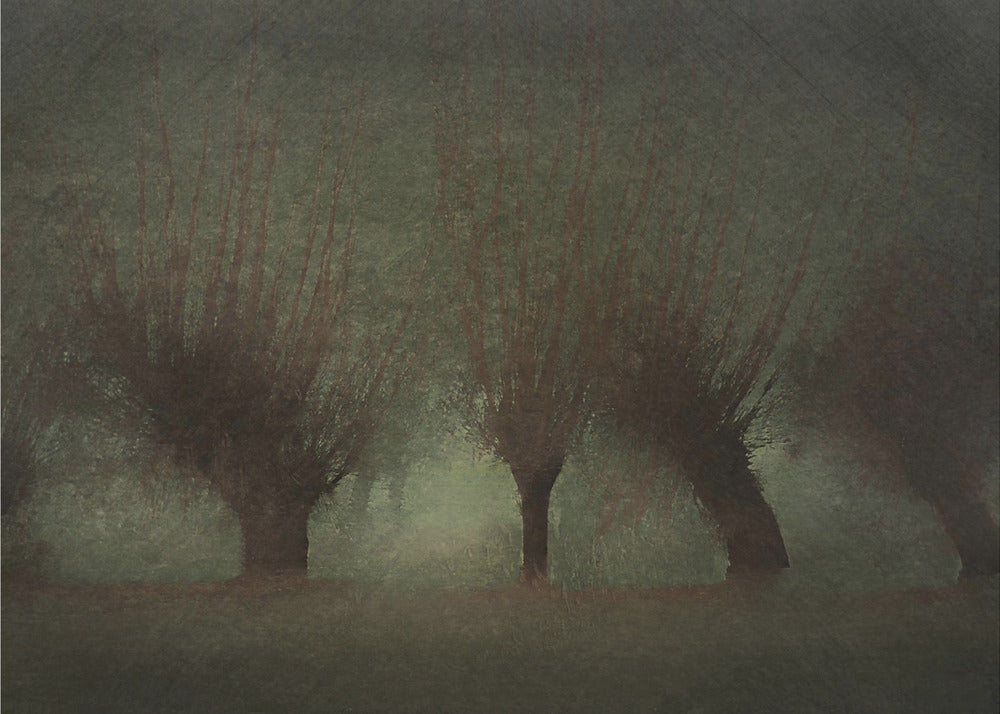 Plakat - River landscape
