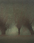 Plakat - River landscape