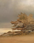 Plakat - Pine and dunes
