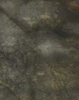 Plakat - Old forrest