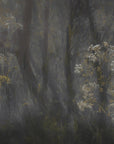 Plakat - Cow parsley