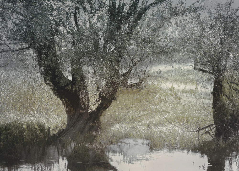 Plakat - On the water side
