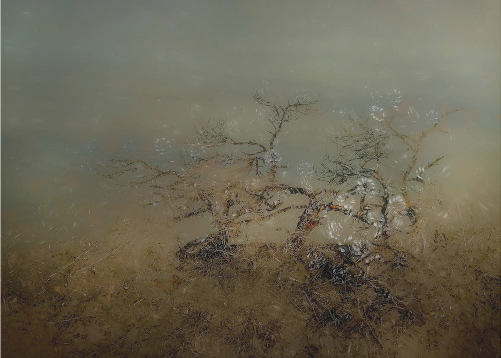 Plakat - Old tree