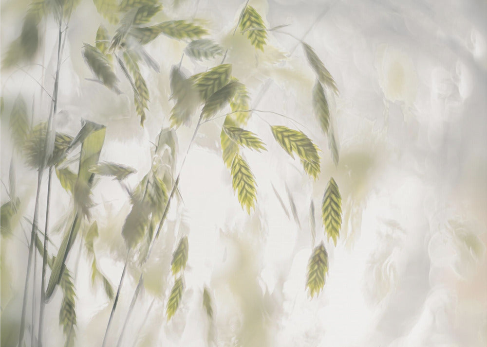Plakat - Grass blades