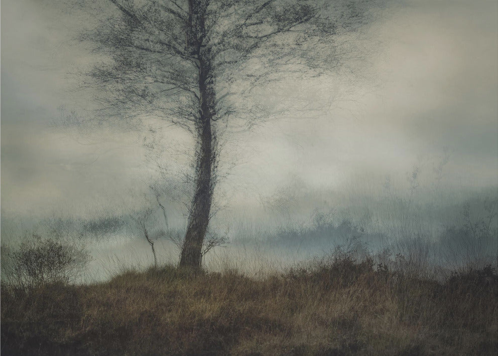 Plakat - Silent