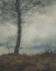 Plakat - Silent