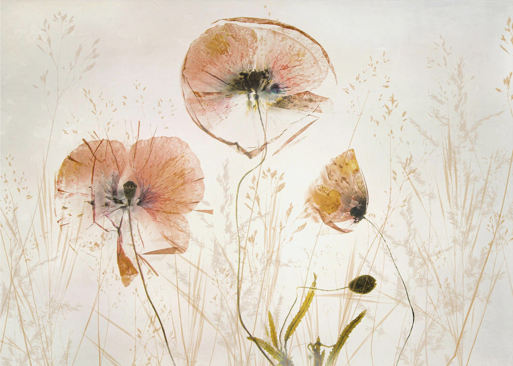 Plakat - Light and soft