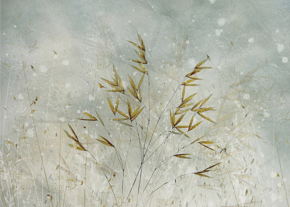 Plakat - Wintertime