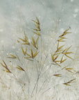 Plakat - Wintertime