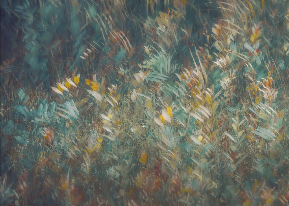 Plakat - Late summer