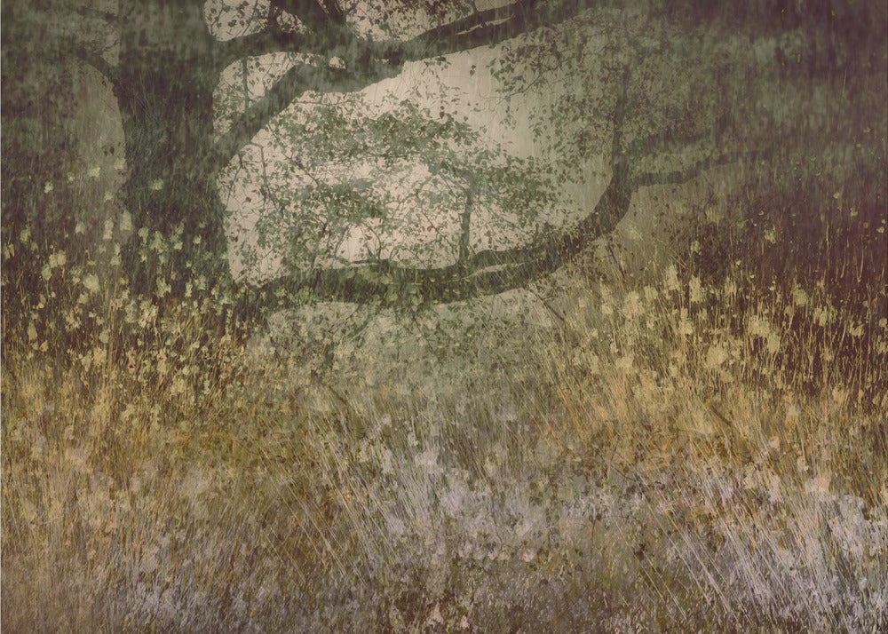 Plakat - Autumn is coming