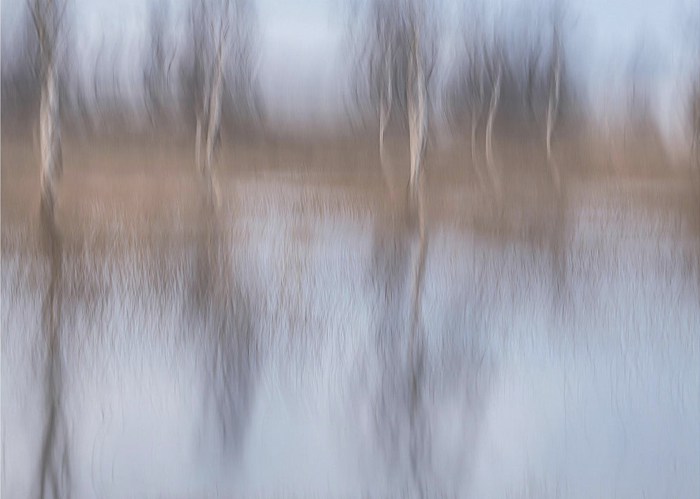 Plakat - After the rain