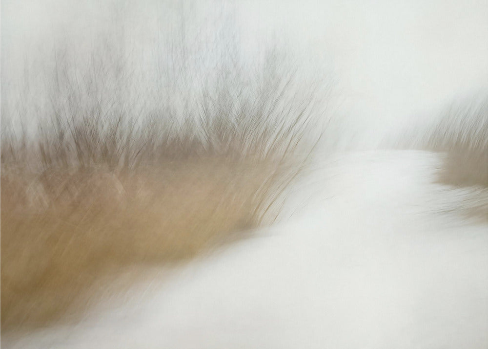 Plakat - Wintertime