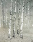 Plakat - Morning silence