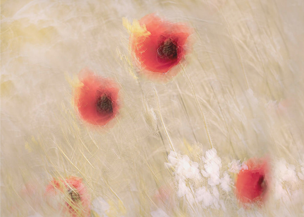 Plakat - Between the grass