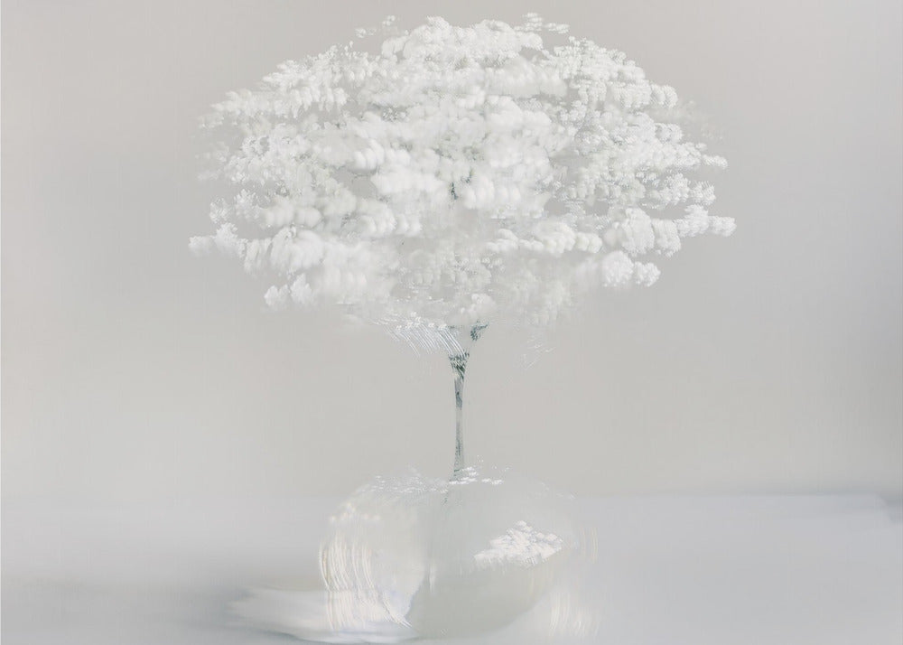 Plakat - Innocent white