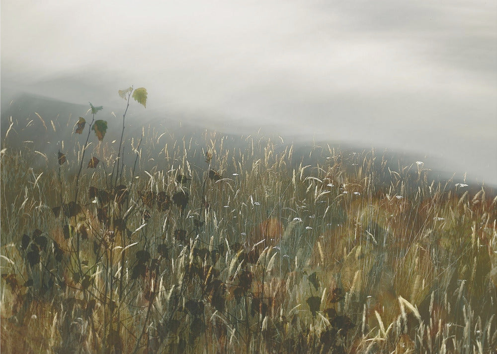 Plakat - In the field