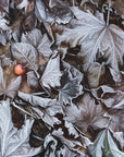 Plakat - Frozen leaves