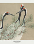 Plakat - Cranes From Momoyogusa - Admen.dk