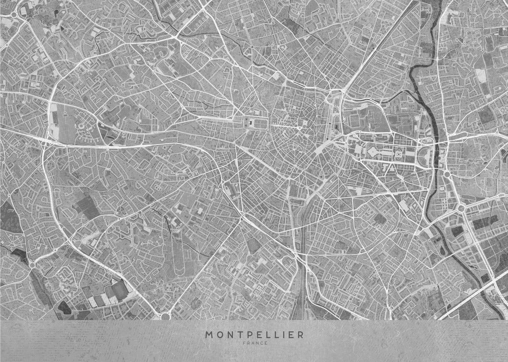 Poster - Gray vintage map of Montpellier France