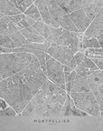 Poster - Gray vintage map of Montpellier France
