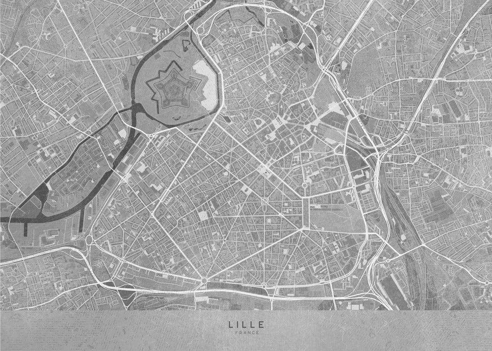 Plakat - Gray vintage map of Lille downtown France