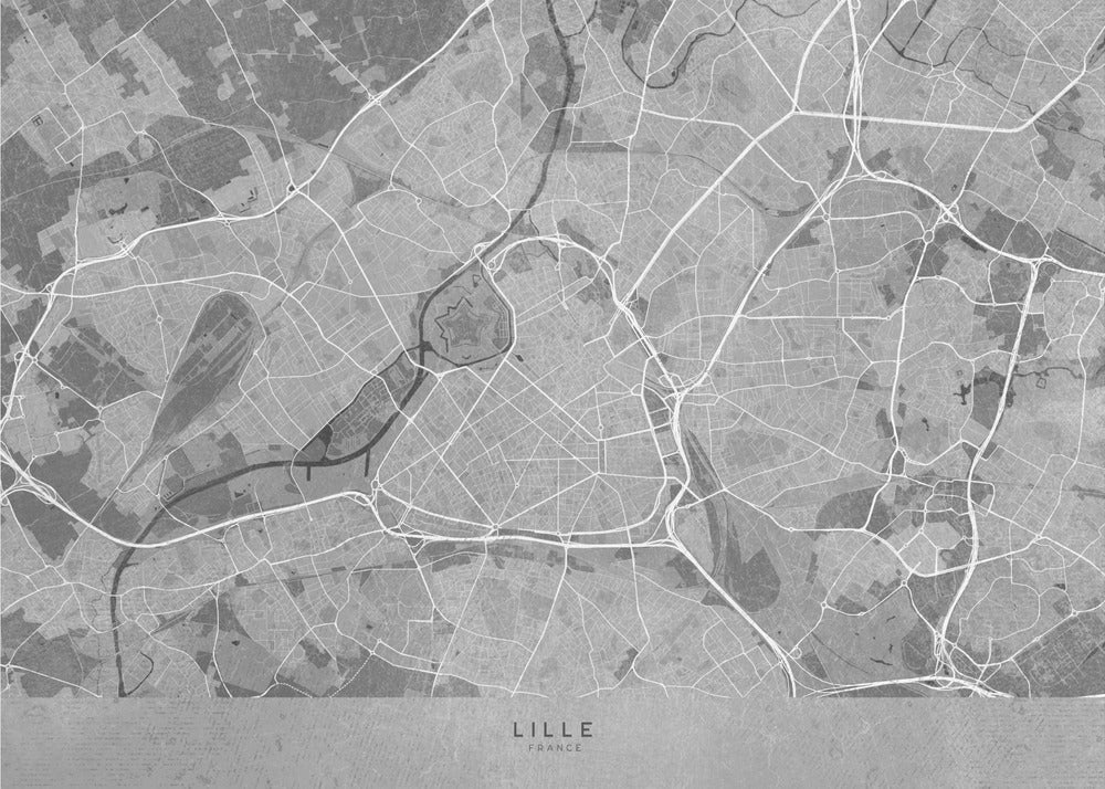 Poster - Gray vintage map of Lille France
